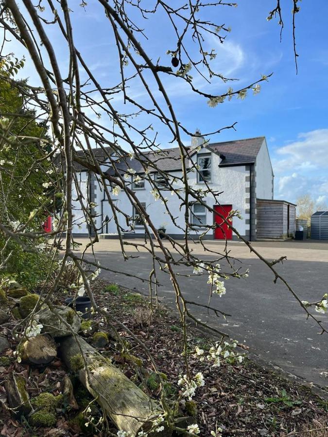 Willow House Bed & Breakfast And Orchard Studios Self Catering Limavady Kültér fotó